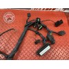 Faisceau électrique principale Cagiva 1000 Raptor 2000 à 2005